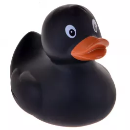 Funny Ducks "Черная уточка" картинка 345842 - МосИгра